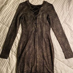 PRIVY Shiny Party Dress